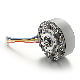  12V 24V Outer Rotor BLDC DC Motor for Massage Gun Long Life Low Noise Good Quality 3000rpm