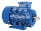  380V Ie2 Ms Series 180W Aluminum Housing Three-Phase Asynchronous Induction Electrical Motor