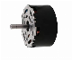  OEM ODM 20W to 3000W Brushless Electrical DC Motor for Blender/Hand Blender/Blender Mixer