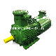  Ybbp Series Flameproof Three Phase AC Electric Motor with Inverter for Gas Pumps and Compressors