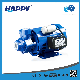  Electric Vortex Single-Stage Presssure Washing Water Electric Pump (CP)