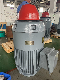  Tefc Vhs Motor NEMA Premium Efficient Vertical Hollow Shaft Vhs Motors