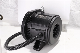 Ie4 Premium Efficiency Three-Phase Synchronous Permanent Magnet Screw Air Compressor Motor manufacturer