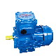 Aim-250 Exdiibt4 GOST Standard Explosion Proof Motor manufacturer