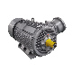 Aim-200 Exdiibt4 GOST Standard Explosion Proof Motor manufacturer