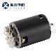 Low Voltage DC 100V-240V Worm Gear Motor for Juicer/Door Opener/Lifting Table manufacturer