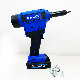  20V Brushless Motor CE Certification Explosion Proof Rivet Nut Tool