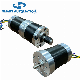  63rbl Brushless DC Motors Power 30W-300W, Customized Performance, Option with Worm/Planetary Gearbox Controller Brake and Encoder, to Replace Dunker Motors