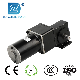  90/80 DC Worm Gear Motor Two with Two Types of Gear Box