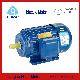  Ye3 Premium High Efficiency Three Phase Induction AC Electric Asynchronous Motor Available for Sale