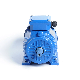 2800 Rpm Electric Motor 230V Elektromotor Hydraulic Teco Electric Motor 3 Phase Induction