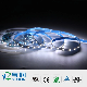  Wholesale Factory Freely Bending Direct 6-10W Flexible Bright White LED Light Strip with 3-Year Warranty by UL, RoHS, and TUV-CE