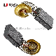  Carbon Brushes Carbon for Makitas Diamond Cutter 4101 Rh 5X11X17mm (CB-303)