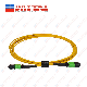 Single Mode MTP to MTP Fiber Cable 72 Core Trunk Patch Cord manufacturer