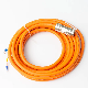 Agv Cars Cable Oil Resistant PVC Sheath Flame Retardant