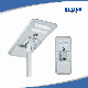  100W Premium LED Solar Street Lights Expressway Lamps with Surge Protection Device
