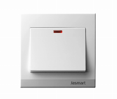 20A D/P Switch with Neon (S86K2-20)