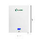 Wall Mounted LiFePO4 Lithium Ion Powerwall Battery 12V 24V 48V 200ah 100ah Home Energy Battery in Long Life with Competitive Lower Price