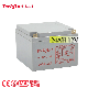  Lead Acid Batteries Solar Power 12V 24ah 33ah 38ah 50ah 65ah AGM Gel Deep Cycle Solar Battery Storage Batteries with CE/ISO Certification