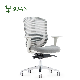  New Trendy Ergonomic Office Chair Mesh Back Soft Molded Foam Seat Grey Color
