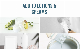  White Pigment Chemical Construction Building for Plastic/Rubber/Mortar