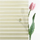 Manual Cordless Magnetic 25mm Venetian and Black out Pleated Paper Blinds manufacturer