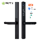 Waterproof Security Wireless Electronic Tuya Fingerprint Smart Door Lock for Glass Door manufacturer
