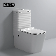  Hot Sale High Quality Bathroom Sanitary Ware Factory Price S-Trap P-Trap Washdown Flush One Piece Toilet