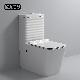  Hot Sale High Quality Bathroom Sanitary Ware Factory Price S-Trap P-Trap Washdown Flush One Piece Toilet