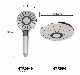 5 Function ABS Shower Set with Shower Head/Shower Set/Handheld Shower/Rain Shower manufacturer