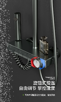 Zb4018 Hot Sale New Product 4 Function Piano Button Shower Set