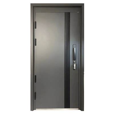 Patio French Residential Bifold Exterior Security Steel / Aluminum / Metal Door