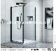  Corner Pivot Door with Side Panel-Easy Clean Glass Is Optional