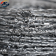 Barbed Wire with Galvanized Stainless Steel and PVC Coated for Sale