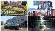  Float Glass Coated Glass Window Glass