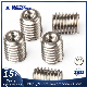 Adjustable Threaded Insert Anchor Bolt Screw for Aluminum Profile manufacturer