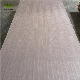  Natural Birch Walnut Sapele Sheet Shuttering Plywood Fancy Plywood for Wood Furniture and Decoration