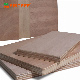 Better Price of Poplar/Birch/Pine/ Hardwood for Furniture/Construction From Vietnam Pine Veneered Plywood manufacturer