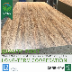  6mm & 18mm E0 E1 E2 Glue Double Sides Melamine Laminated Plywood for Furniture Usage to African Market
