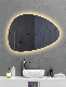 OEM Modern LED Mirror Round LED Mirror Wall Mounted Touch Switch Smart Mirror for Bathroom with LED Light manufacturer