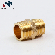  Brass Nipple /Brass Fitting/Brass Tube Fitting Hex Nipple