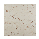  The High Quality Tiles for 1000*1000mm Full Body Marble with Low Cost