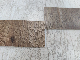 Hot Sale Wear Resistant, Anti Slip, Waterproof, and Mold Resistant Spc Reinforced Flooring manufacturer