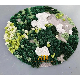  2021 New Latest 3D Hand Tufted Carpets for Floor and Wall Hand Made Rugs for Sale