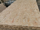  Wholesale Cheap Pine OSB Oriented Strand Board/ OSB/Melamine OSB as Building Material