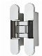  Zinc Alloy/ SS304 Adjustable Invisible Hinge 180° Door Concealed Hinges