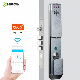 3D Face Recognition Fingerprint Rifd Card Password WiFi Tuya Smart Door Lock manufacturer