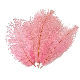  High Quality Fashion Dancer Colorful Fluffy Natural Feather Wedding Decoration Ostrich Feathers