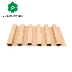 China Supplier Luxury WPC Wall Panel
