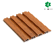  Top-Selling Wood Plastic Composite Wall Cladding WPC Panel
